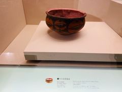 -甘肃省博物馆