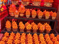 -越秀西湖花市(广州城市广场花卉店)