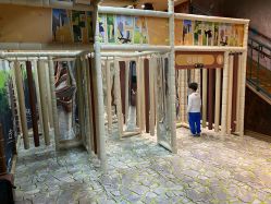 -卡通尼·Safari非洲探索乐园·生日会(金桥国际商业广场店)