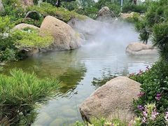 -罗红摄影艺术馆