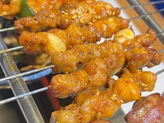 -高鸽子锦州烧烤63年(海阳路店)