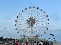 -奉贤海滩
