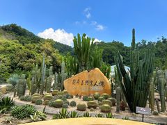 -深圳仙湖植物园