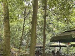 -都江堰普照寺