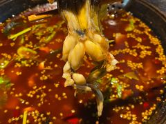 -大鱼山房鱼头火锅(老字号品质店)