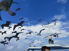 -海驴岛(荣成市)