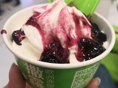 -Salud撒露欧洲冻酸奶(五道口购物中心店)