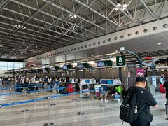 -米兰马尔彭萨国际机场