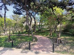 -八大关景区
