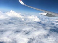 -翠華餐廳(浦东机场T1店)