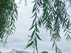 -上海交通大学(闵行校区)