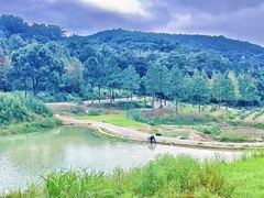 -东钱湖旅游度假区