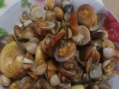 -红树林天天赶海
