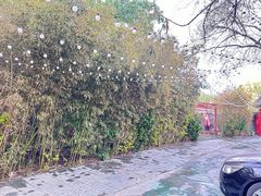 -万柳阁小馆·花园餐厅(龙潭湖店)