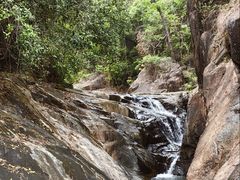 -广州白江湖森林公园