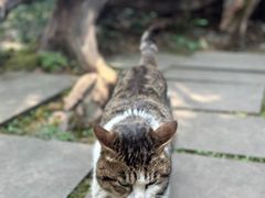 -成都杜甫草堂博物馆