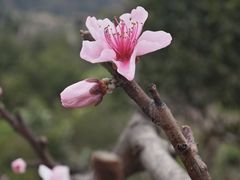 -五凤溪古镇