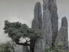 -上海醉白池公园