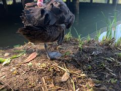 -金桥现代产业园区-停车场