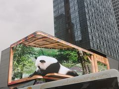 -春熙路步行街