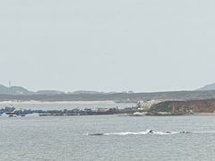 -北港方记海鲜楼·海景餐厅