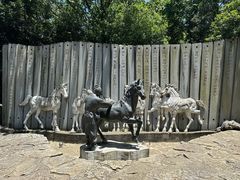 -白马涧龙池景区