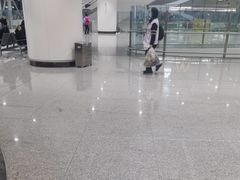 -麦当劳(北京大兴机场二层国内到达(安检外)店)