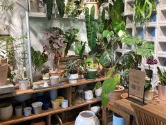 -自由生长植物工作室(深港花卉中心店)