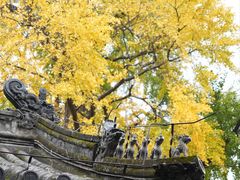 -潭柘寺景区