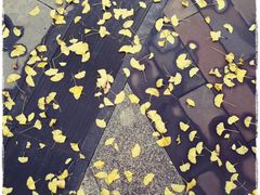 -四川大学(华西校区)