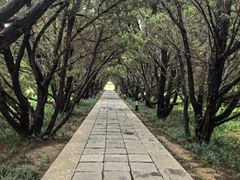 -洛阳古墓博物馆