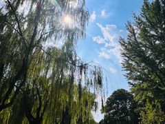 -元大都城垣遗址公园