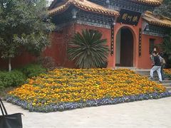 -富乐山