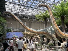 -国家自然博物馆