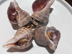 -连鹭海鲜·海肠捞饭·海胆饭(星海店)