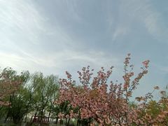 -石家庄市植物园