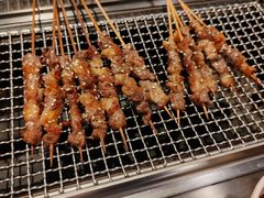 -呼伦贝尔烤羊·蒙古烤羊排(南田路总店)