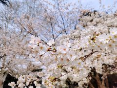-东湖生态旅游风景区