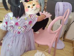 -猫咪派对(江南西店)