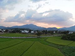 -黄牛肉馆·皖南土菜