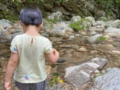 -牛背梁国家森林公园