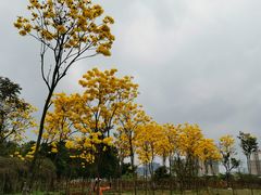 -凤岭儿童公园