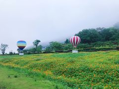 -东海半边山旅游度假区