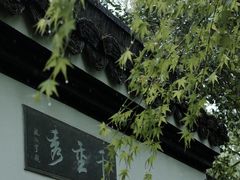 -虎跑公园