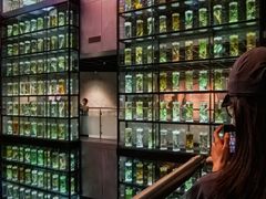 -广东中医药博物馆