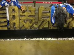 -长藤鬼校(千禧店)