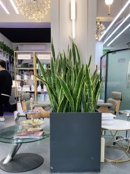 -FUTURE HN男士发型风格设计