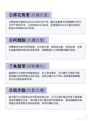 点击看大图 -玛莲朵·海菲秀冰珀科