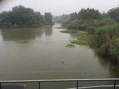 -中国湿地博物馆