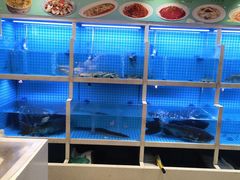 -聚丰园•湖鲜餐厅(阿红私房菜梅石路店)